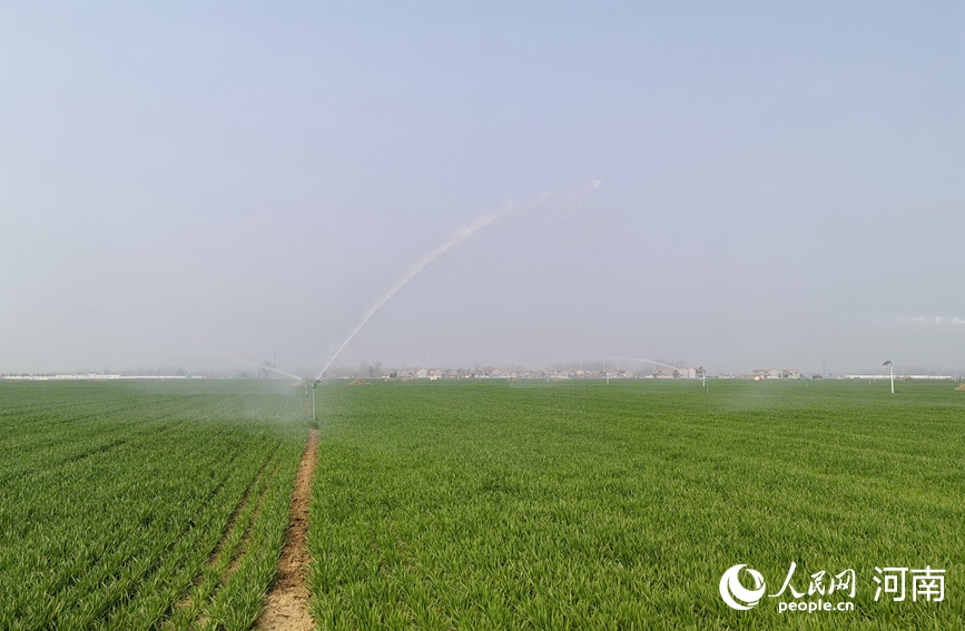 虞城高标准农田正在进行春灌作业。人民网记者 辛静摄