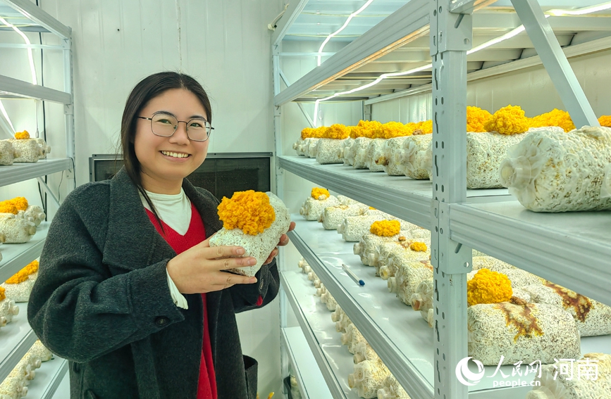 种植户利用智能方舱种植金耳，拓宽增收渠道。人民网记者 辛静摄
