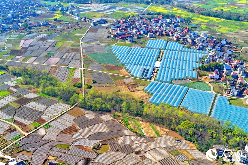 赣州市兴国县高兴镇文溪村，田垄纵横、大棚林立，民居与青山相映成景，呈现一幅春日秀美田园画卷。人民网记者 朱海鹏摄