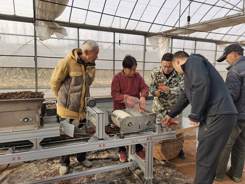 李村烟站工作人员指导育苗户装盘播种。安小兵摄