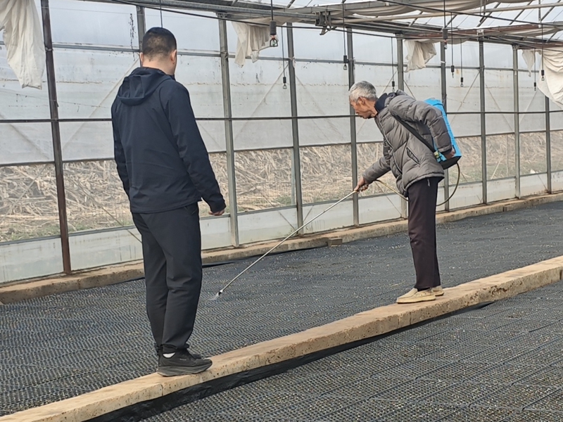 李村烟站工作人员指导育苗户对苗盘进行补水。李海洋摄