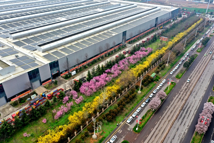 廠區周邊連翹花、桃花、梅花競相綻放。王建棟攝