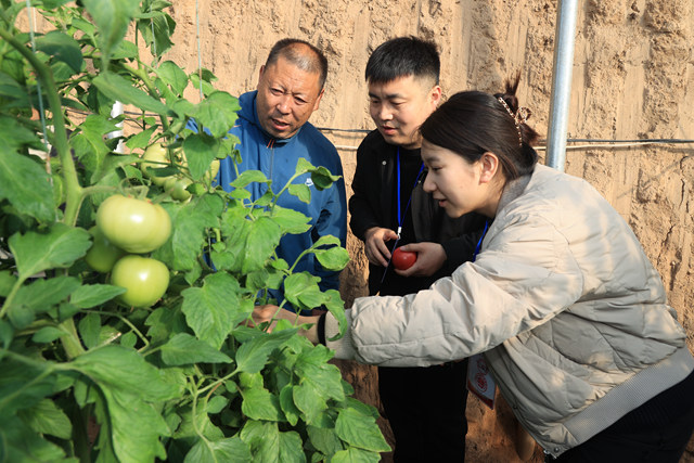 當地紀檢監察部門工作人員實地了解大棚收益情況。