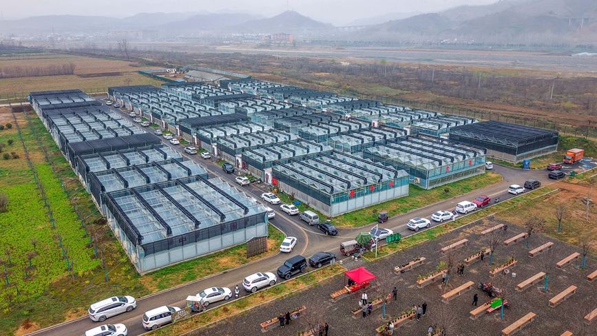 伏牛山蘭花產業園。趙明辰攝