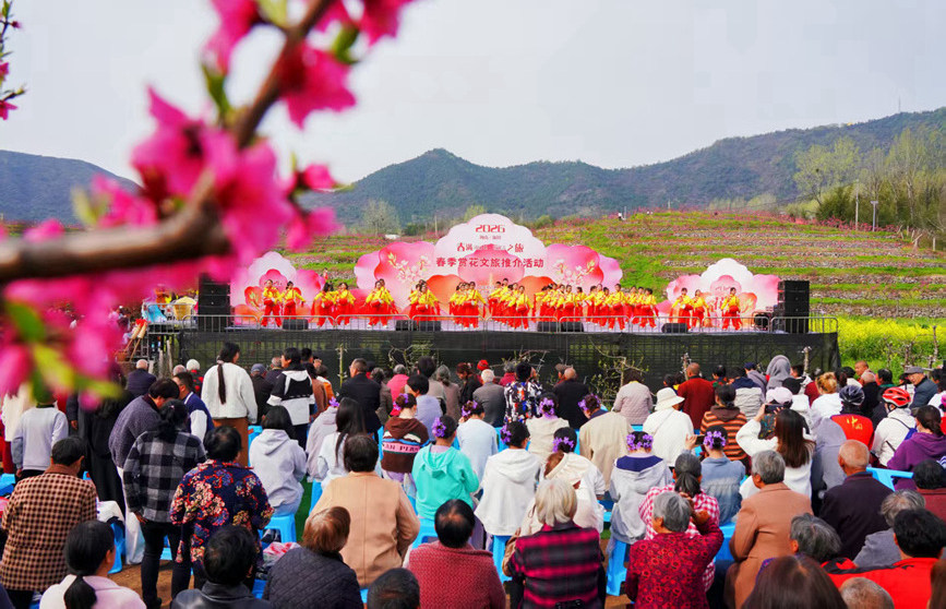 河南淅川：以花為媒激活春日經濟