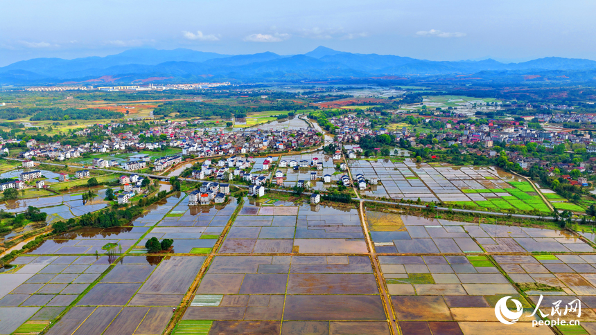 乐安县龚坊镇陀上村一带，灌溉打浆后的农田与蜿蜒的灌渠、错落有致的房屋、纵横交织的公路相互映衬，美如画卷。人民网记者 朱海鹏摄
