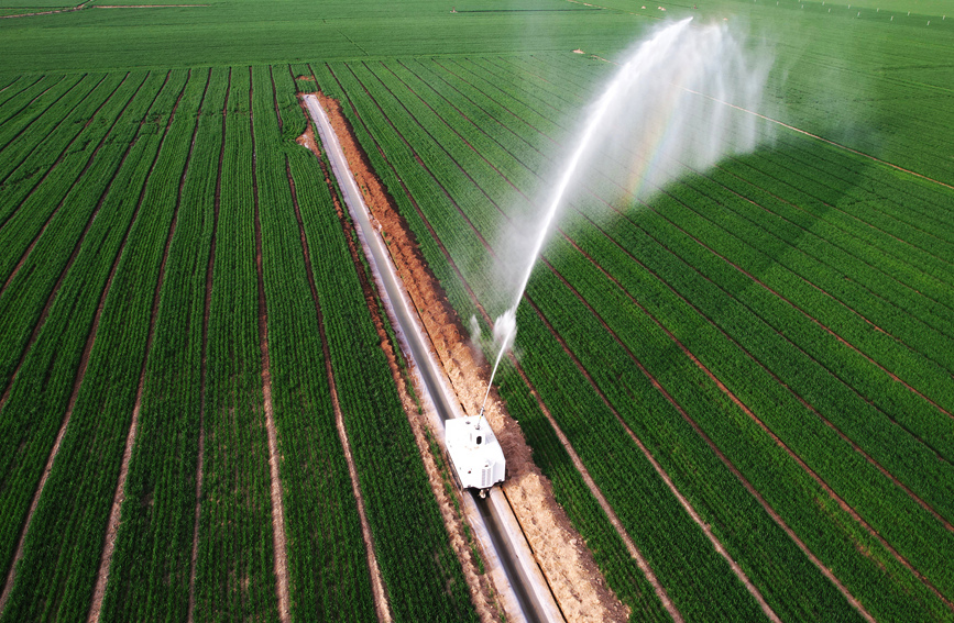 智能灌溉机器人正在喷灌作业。翟登云摄