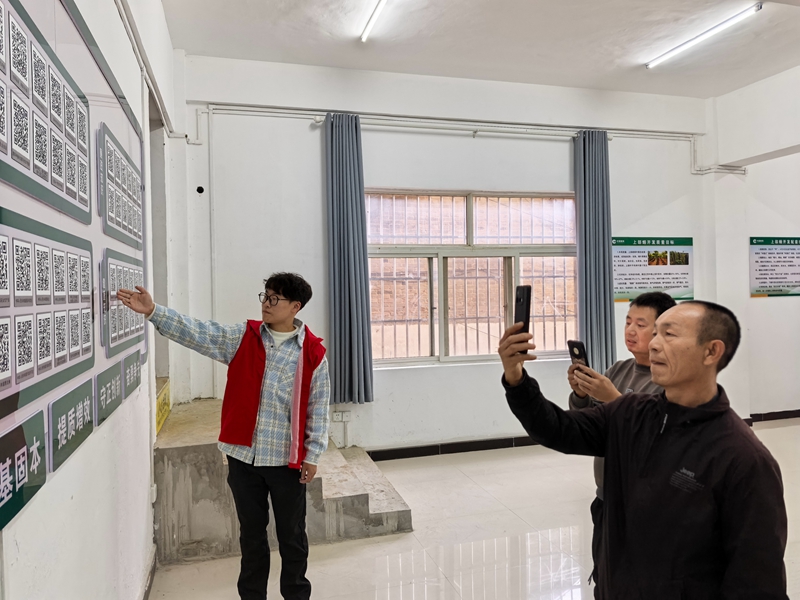 图为烟技员引导烟农扫码学习技术知识。陈一璇摄