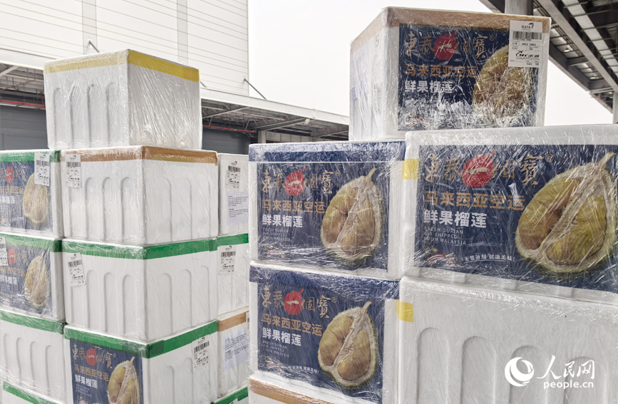 郑州机场北货运区一批刚下飞机的马来西亚榴莲。人民网记者 杨晓娜摄