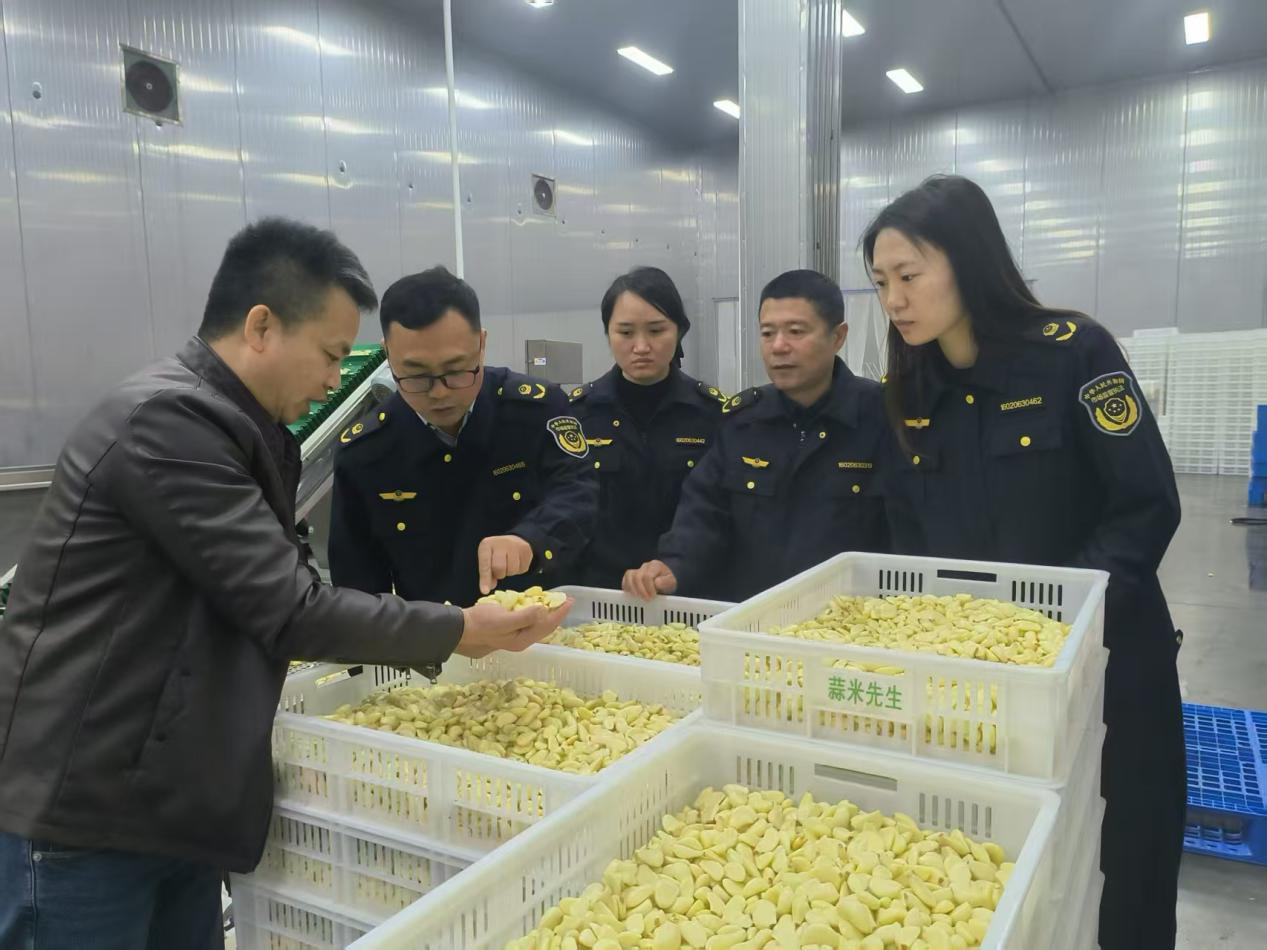 图为开封市场监管人员在大蒜加工车间检查指导。开封市委宣传部供图