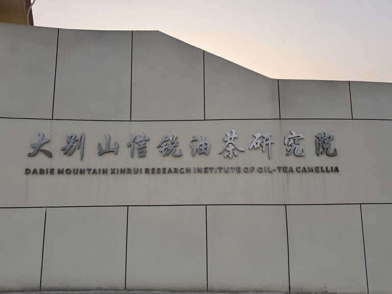 村內建設的油茶研究院。徐永琪攝