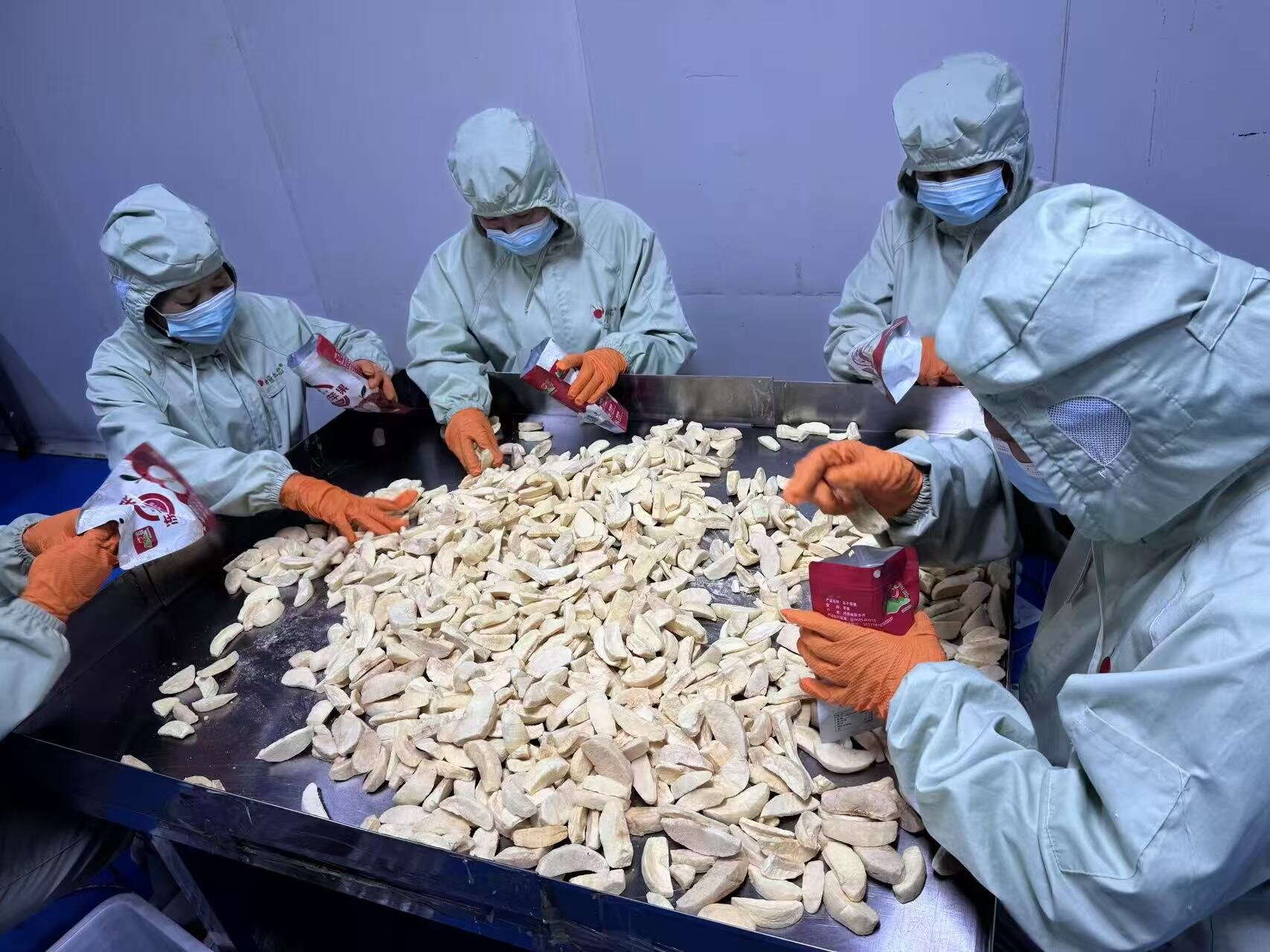 工人正在对成品冻干苹果干进行人工挑选、封装，严把产品质量关口。樊玉峰摄
