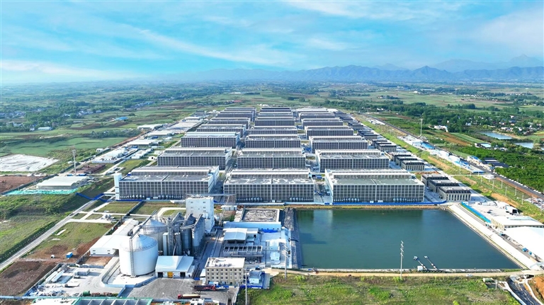 9个关键词读懂河南经济半年报(图2)