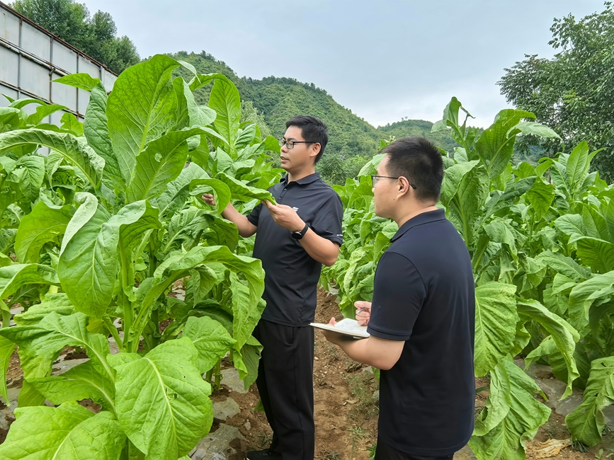 师带徒一线施教，以老带新、以技赋能。寿纪培摄