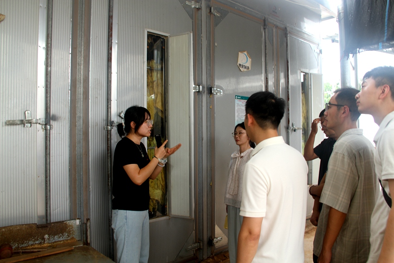 图为烘烤骨干在开展烘烤培训 薛成伟摄