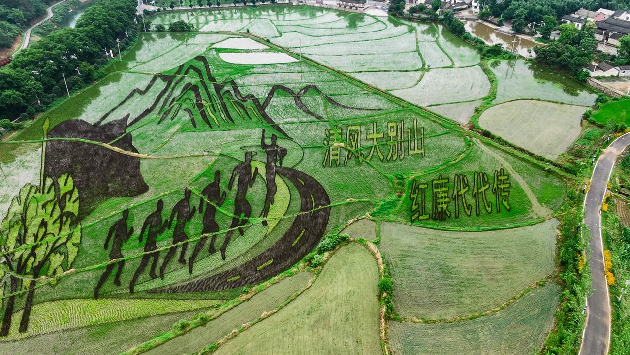 何家冲村乡村景致尽显新风采