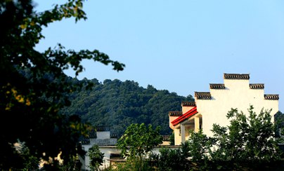 行进中国 | 红绿融合 桐树庄走出“蝶变路”暮色慢慢漫过望夫石山，竹涛声轻柔绵长，纪念碑静静矗立。白墙黛瓦间，灯火次第点亮，农家院飘出饭菜香。