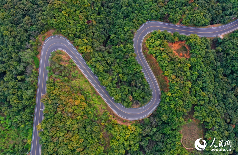 林石公路。人民网记者 王玉兴摄