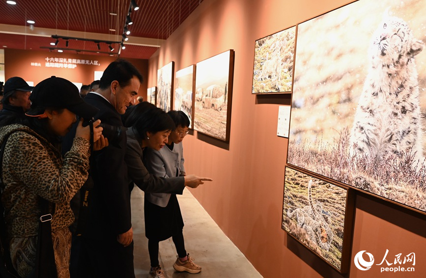 观众参观金像奖获奖者作品展。人民网记者 王玉兴摄