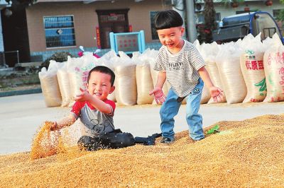 河南：新农人在希望的田野上竞风流