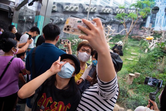 6月26日，市民观看大熊猫“健健”过生日。