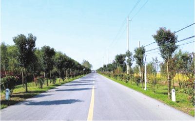 河南发文打造建制村到乡镇“0.5小时交通圈”  2025年快递进村覆盖率达100%