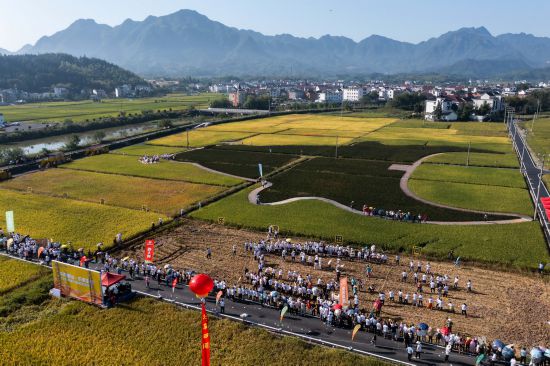  9月22日拍摄的大同镇的稻田赛场。