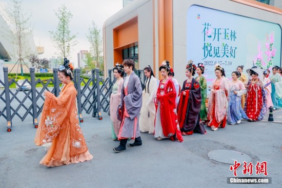 汉服樱花巡游怎么穿搭,汉服樱花巡游怎么穿搭好看