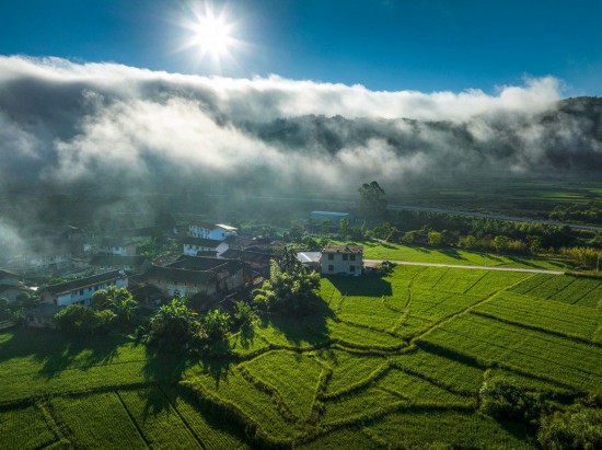 8月12日清晨，在南靖县，云雾缠绕下，土楼与一旁的农田构成一幅绝美的绿色生态画卷。冯木波摄
