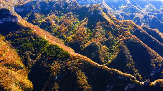 河北省涉县庄子岭红叶大峡谷秋景。 杨彦忠摄