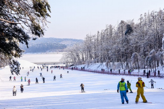 长春净月潭滑雪场。（吉林省文化和旅游厅供图）