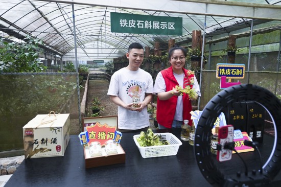 在浙江诸暨东白湖镇的铁皮石斛有机种植基地，东白湖镇党员志愿者（右）和基地负责人一起直播销售铁皮石斛花茶、铁皮石斛酒等产品（2023年6月8日摄）。近年来，东白湖镇着力发展铁皮石斛等特色农业产业，加快农业数字化转型，推进农特产品交易服务中心、惠农综合平台以及直播经济的发展。新华社记者 徐昱 摄