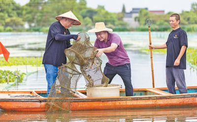 市场品类齐全 消费活力旺盛（新时代画卷）黄金城新网站(图6)