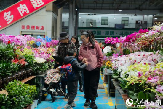 消费者在昆明斗南花市挑选鲜花。人民网 雷霁摄