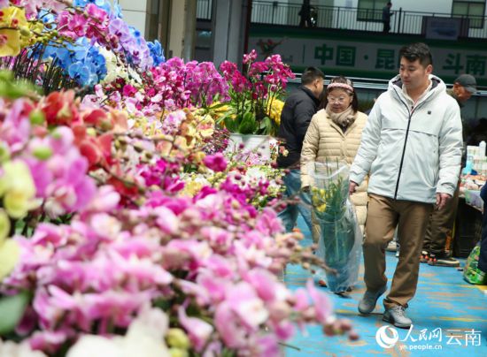 临近新年，昆明斗南花市鲜花俏销。人民网 雷霁摄